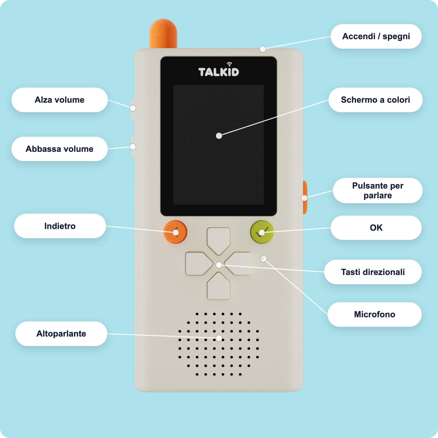 Schema dell'anatomia di Talkid