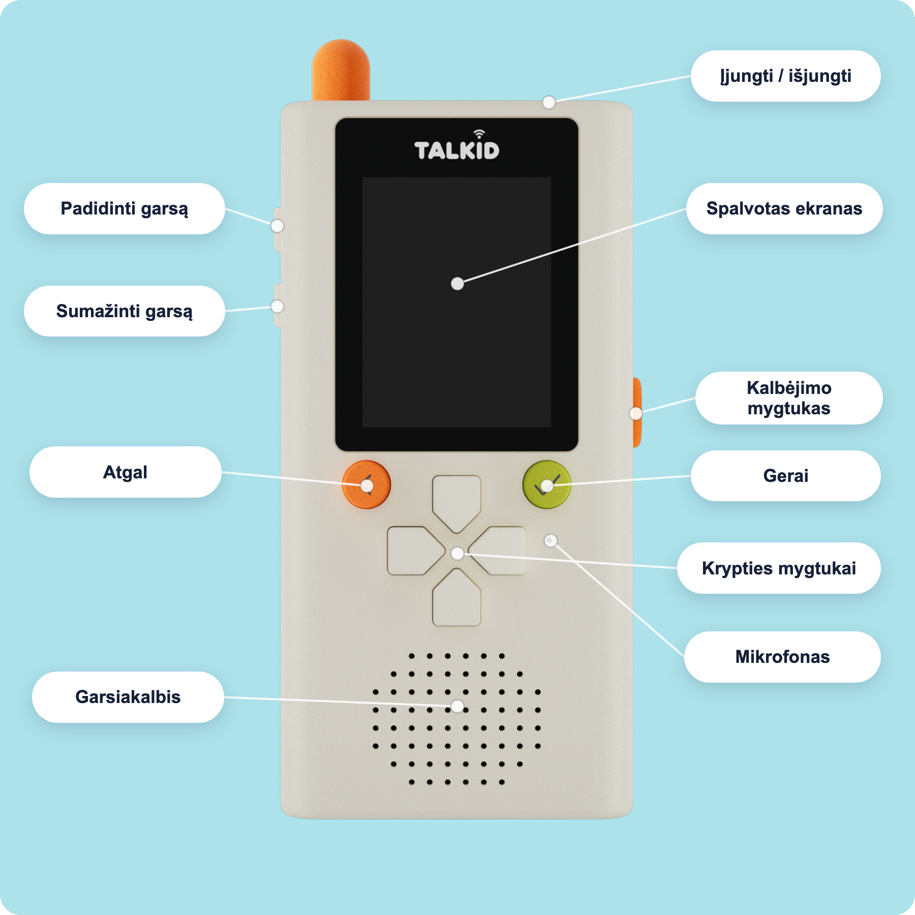 Talkid anatomijos schema